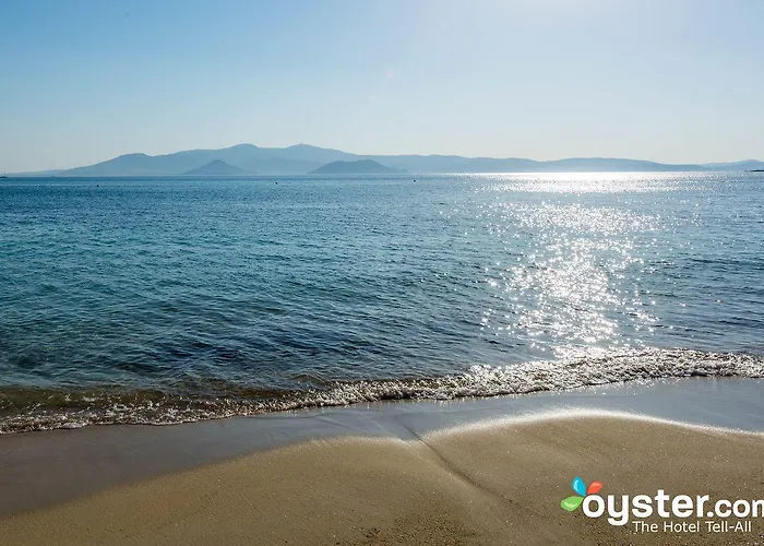 伊里亚海滩艺术酒店 酒店